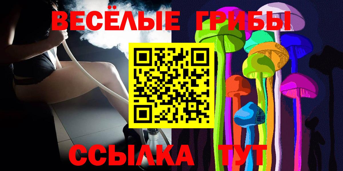 Галлюциногенные грибы Psilocybine cubensis  Вход с VPN  Находка 